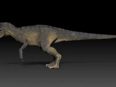Dinosaur Allosaurus Sculpt Project 3D model