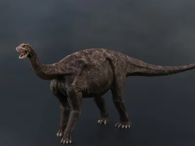 3D Shunosaurus dinosaur Low-poly 3D model