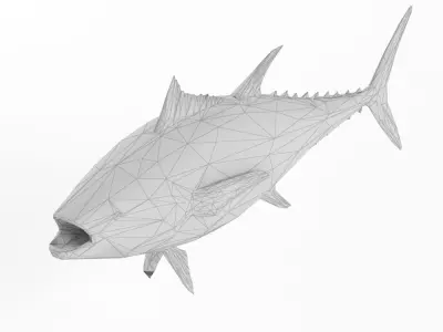 Low Poly Fish and Tuna Set Animal Lowpoly Low-poly 3D model