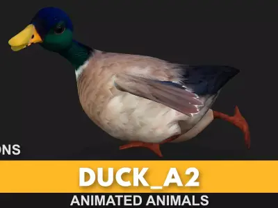 Duck A2 Free low-poly 3D model