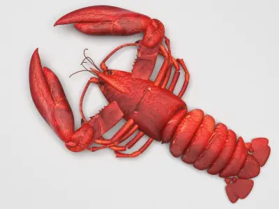 Lobster 3D model