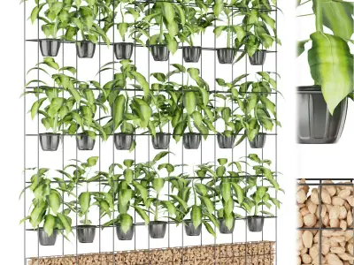 Collection plant vol 191 Free 3D model