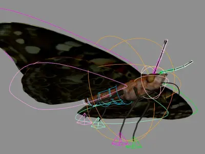 Painted Lady - Butterfly Rig - Animated 3D model