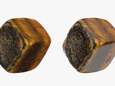 Tigers Eye 04 3D model