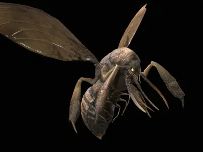 FlyingBugA3 Low-poly 3D model