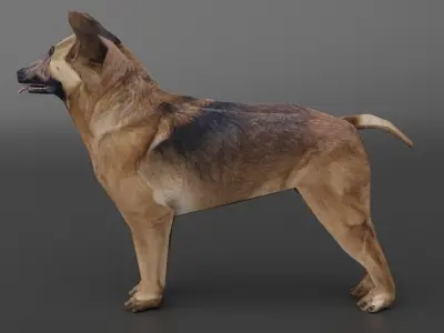 low poly dog model - ready for game  Low-poly 3D model