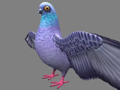Pigeon bird Low-poly 3D model