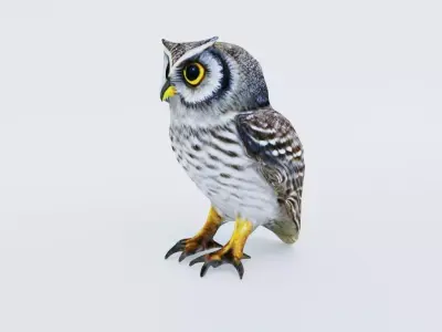 Owl Animal Free 3D model