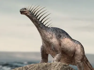 Amargasaurus 3D Rigged model Low-poly 3D model