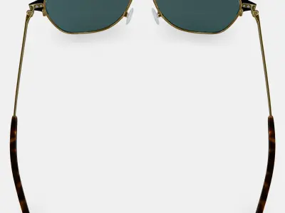 Corson Sunglasses in Jet Black with Polished Gold 3D model