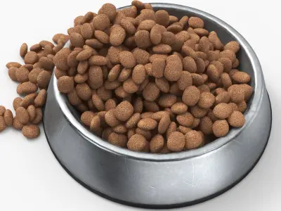 Pet Food Bowl Metal With Food 3D model