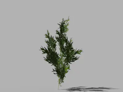 low poly river shrub Low-poly 3D model