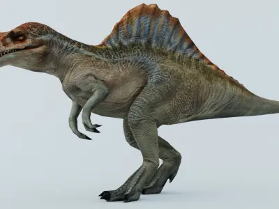 Spinosaurus dinosaur 3D model