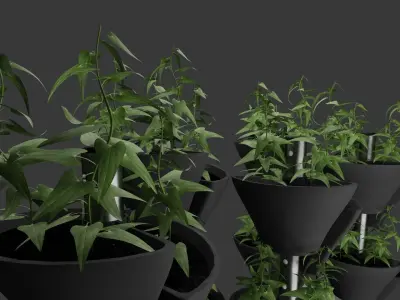 Snail Flower Pot Free 3D model