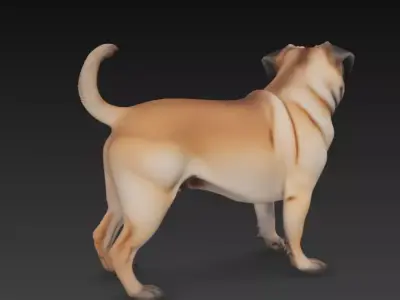 3D model PUG REALISTIC DOG 3D model