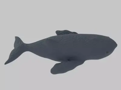 Whale - Scan Of A Clay Whale  Low-poly 3D model