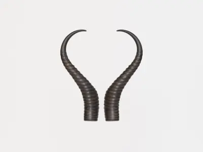 Horn V3 3D model