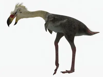 Realistic Phorusrhacos vulture with long beak Low-poly 3D model