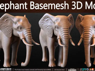 Elephant Basemesh 3D Model Low-poly 3D model