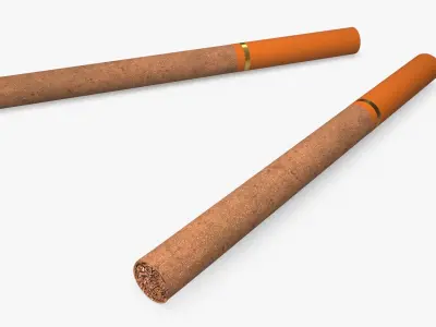 Cigars Collection 3D model