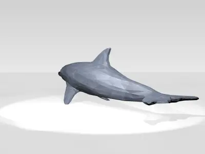Dolphin Low Poligonal 3D model