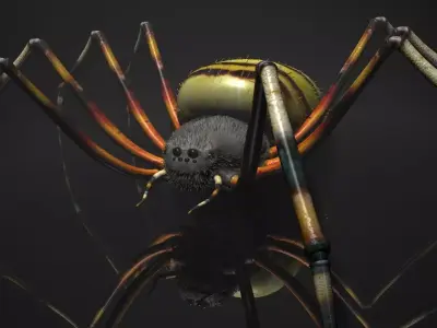 Spider Tiger Rigged Low-poly 3D model
