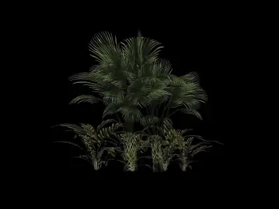 Plants - game ready 3d model palm tree Low-poly 3D model
