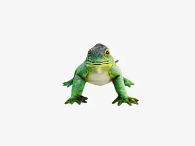 Iguana Free 3D model