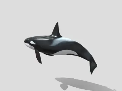 killer-whale Animated Low-poly Low-poly 3D model