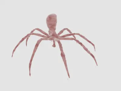 dangerous strange spider 3d model fully detailed and rigged Free 3D model