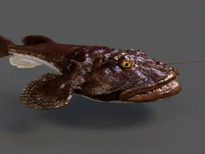 European angler Animated 3D model