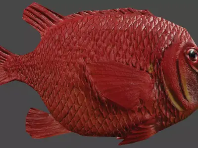 Disneyland Submarine Ride Prop - Red Fish Free low-poly 3D model