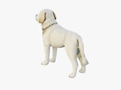 Dog Animal Free 3D model