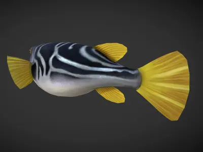 Puffer fish Low-poly 3D model