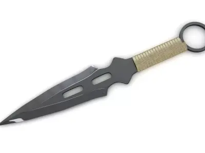 Knife Throwing 3D model