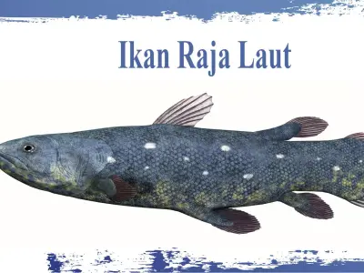 Coelacanth Fish Low-poly 3D model