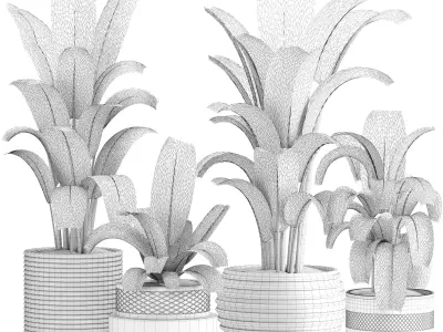 indoor plant set016 3D model