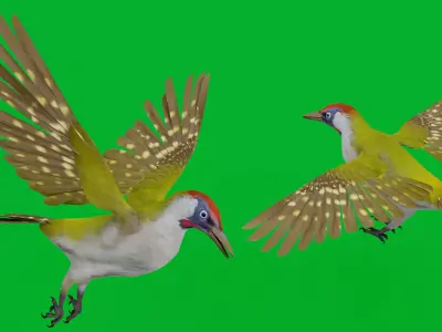 European Green Woodpecker Bird Low-poly 3D model