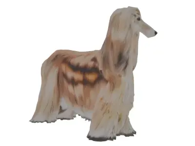 Afghan hound Low-poly 3D model