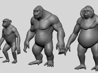 Primate Pack BaseMesh Monkey Chimp Gorilla Orangutan Free low-poly 3D model