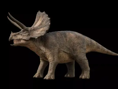 Triceratops dinosaur Low-poly 3D model