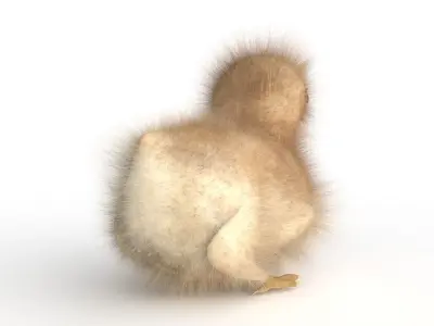  3D Baby Eagle 3D model