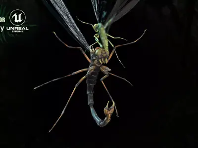 MosquitoVampire flying insect Low-poly 3D model