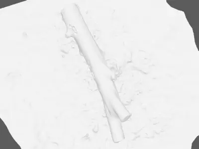 A beautiful tree log surrounded by dried leaves 3D model