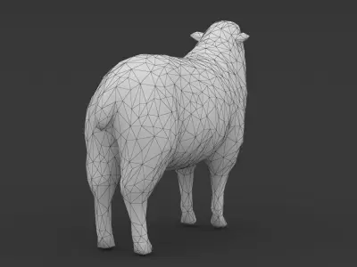 Low Poly Sheep Goat Lamb Low-poly 3D model