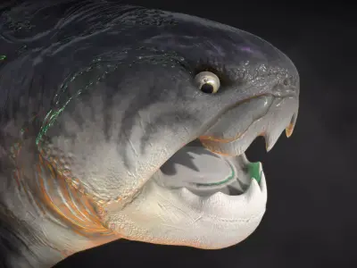 Dunkleosteus paleo accurate Low-poly 3D model