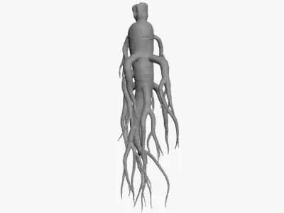 Ginseng for 3D Print 3D model