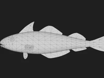 Cod fish Low-poly 3D model