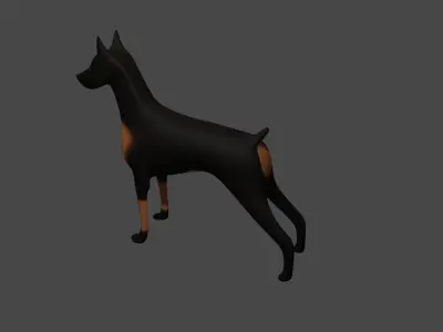Doberman Dog 3D model