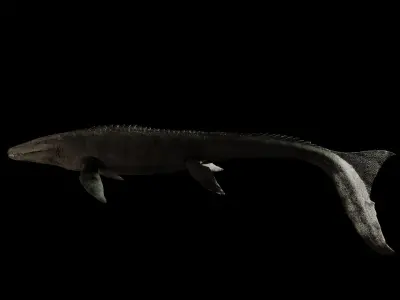 Mosasaurus Movie accurate 3D Model Low-poly 3D model